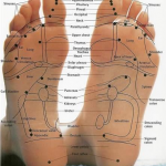 reflexology footchart reflexology footchart